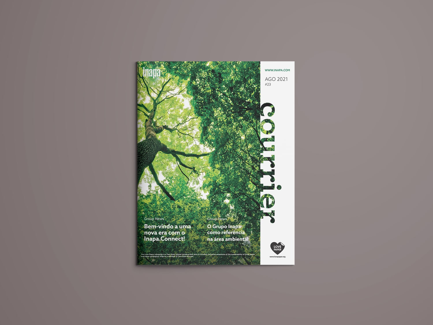 editorial-design-magazine-layout-inapa